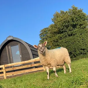 Campsite Cow Pasture Pod, Whitby